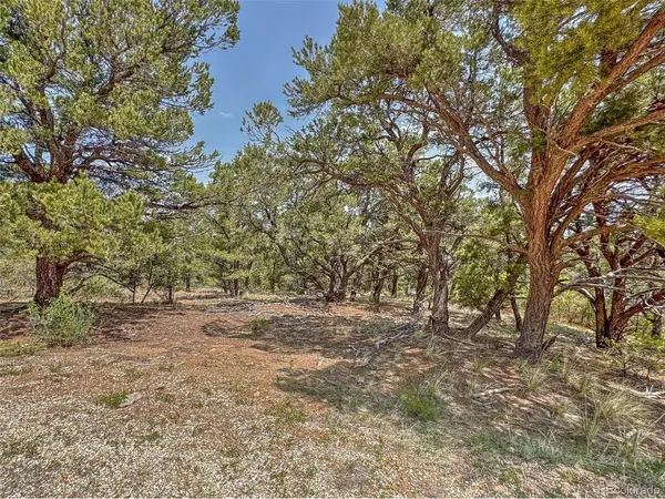 34 Corral, Cotopaxi, CO 81223