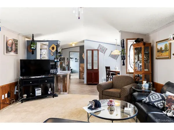 171 Star View, Divide, CO 80814