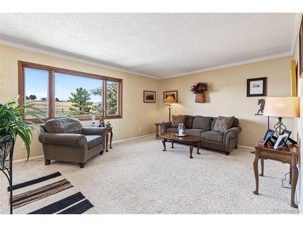 12360 Mesa View, Larkspur, CO 80118