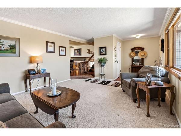 12360 Mesa View, Larkspur, CO 80118