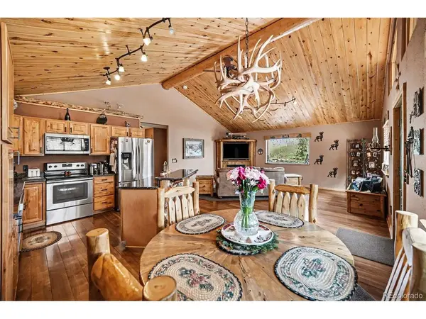 28 Juniper, Bailey, CO 80421