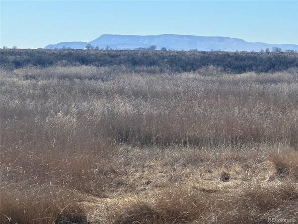 Address not disclosed, Alamosa, CO 81101