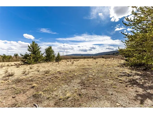 901 Bluestem, Fairplay, CO 80440