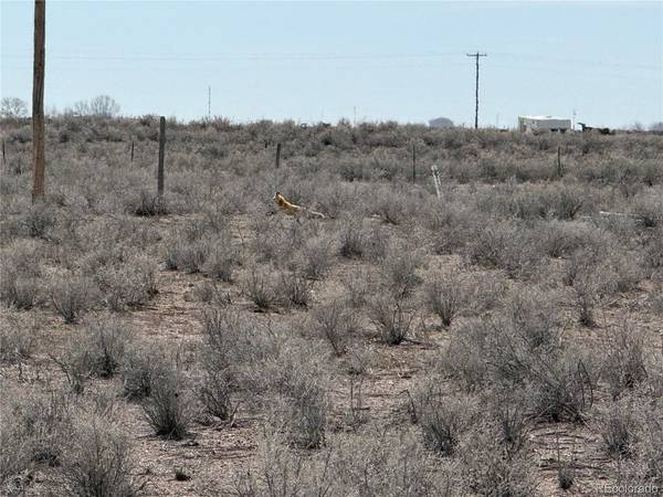 1 CR D.875, Center, CO 81125