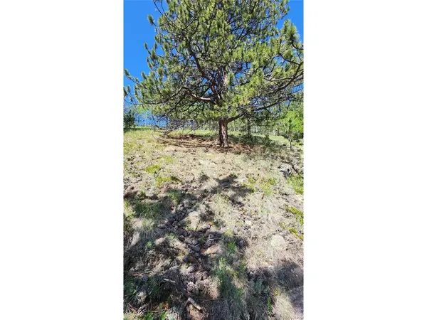 267 Ward, Bailey, CO 80421