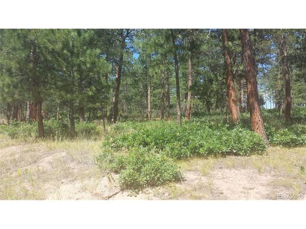4467 Delaware, Larkspur, CO 80118
