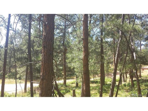 4467 Delaware, Larkspur, CO 80118