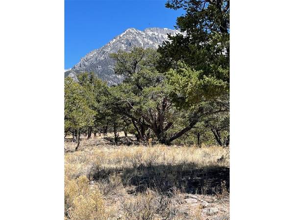 1153 Badger, Crestone, CO 81131