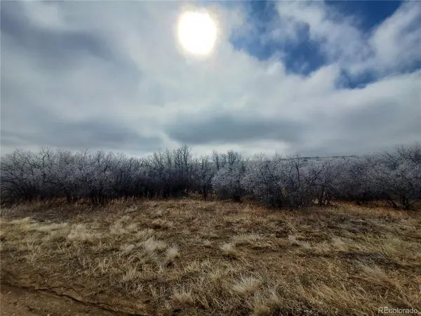 0 Thacker, Colorado City, CO 81069