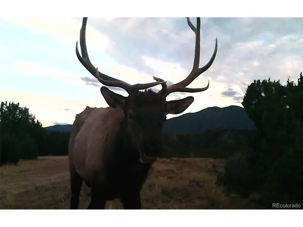 0 County Road 103, Florence, CO 81226