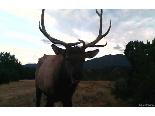 0 County Road 103, Florence, CO 81226