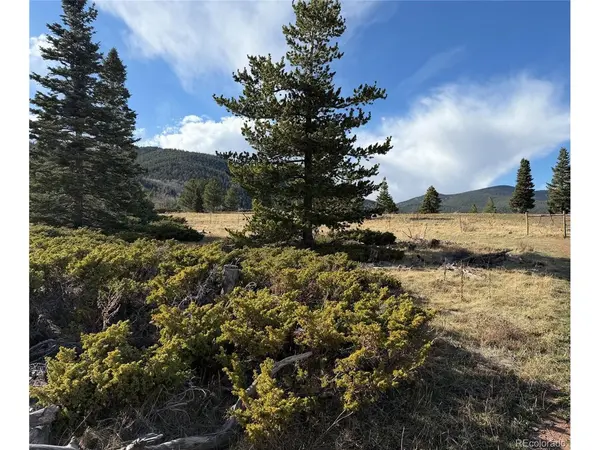 Panadero Loop, Cuchara, CO 81055
