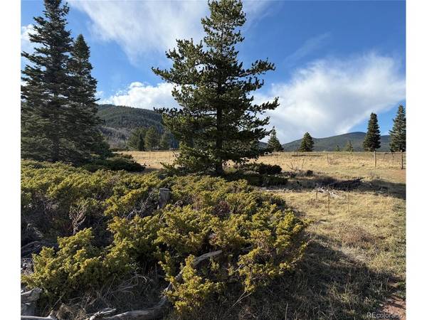 Panadero Loop, Cuchara, CO 81055