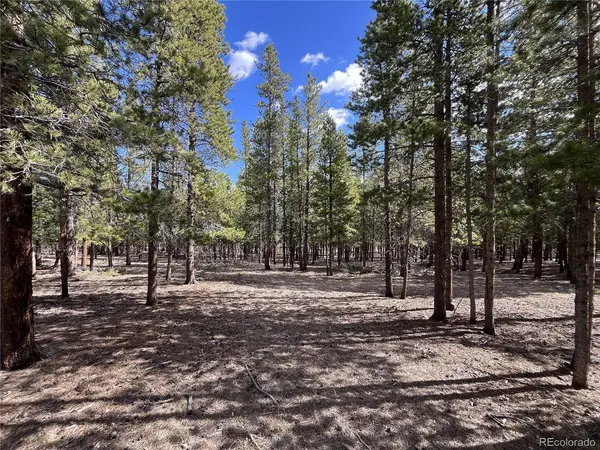 30336 National Forest, Buena Vista, CO 81211