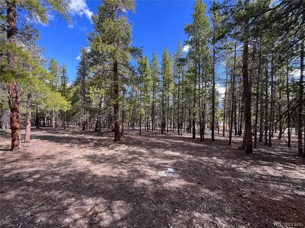 30336 National Forest, Buena Vista, CO 81211