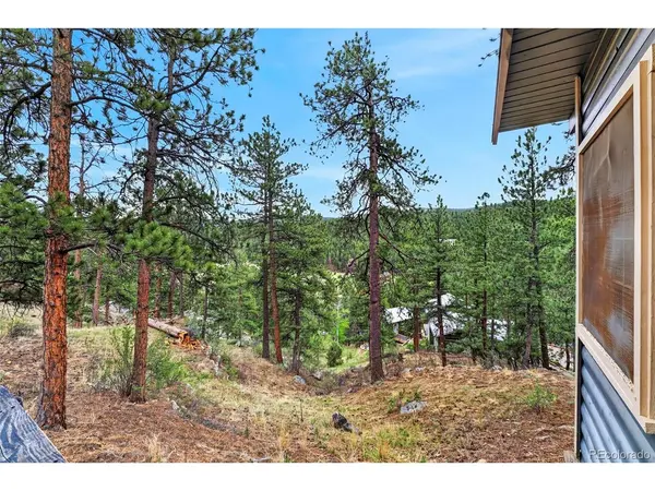 354 Mesa, Evergreen, CO 80439