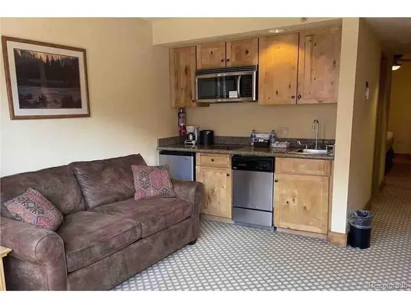 6 Emmons #269, Crested Butte, CO 81225