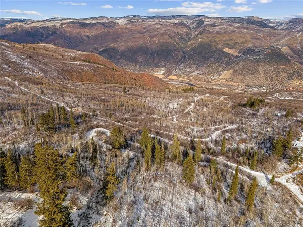 4 Bear Lane, Glenwood Springs, CO 81601