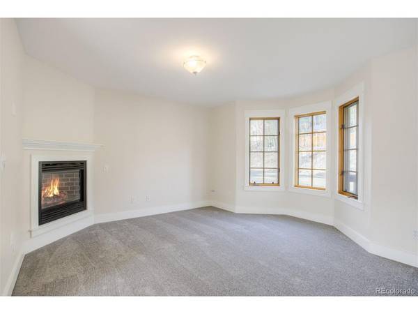 372 N Oak, Alma, CO 80420