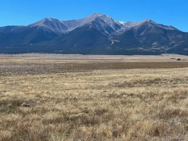 2151 S Pleasant, Buena Vista, CO 81211