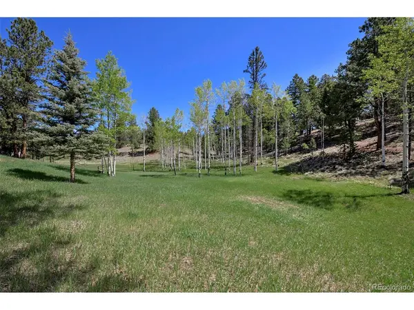 63 Star View, Divide, CO 80814
