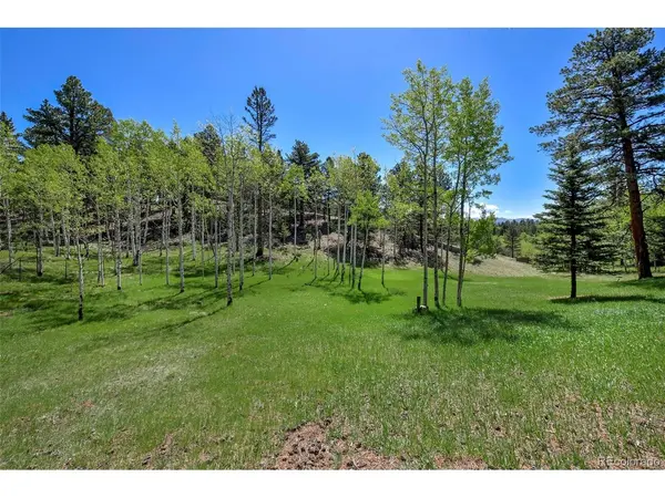 63 Star View, Divide, CO 80814