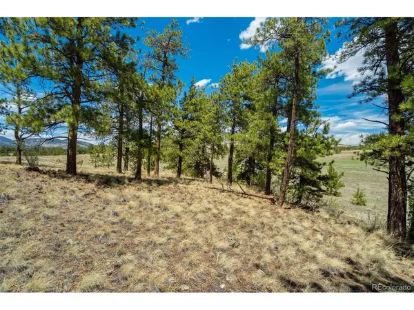 129 Eagle Nest, Guffey, CO 80820