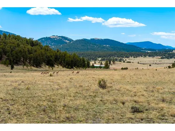 129 Eagle Nest, Guffey, CO 80820