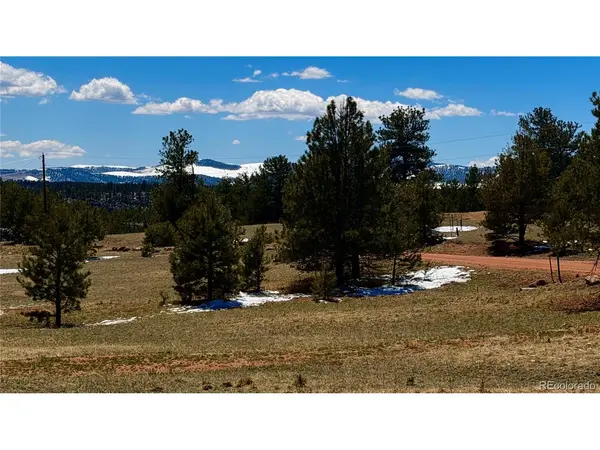 418 Scott, Florissant, CO 80816