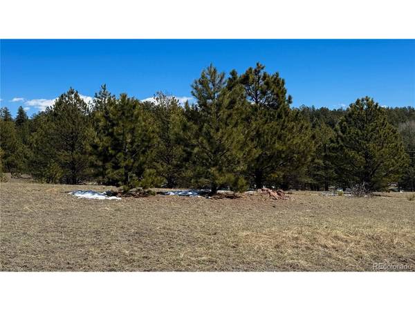 418 Scott, Florissant, CO 80816