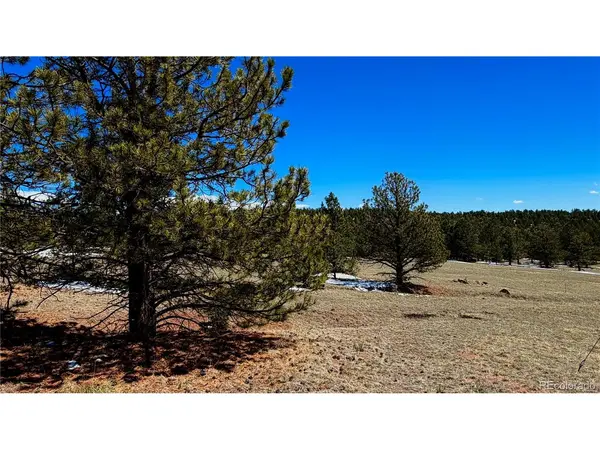 418 Scott, Florissant, CO 80816