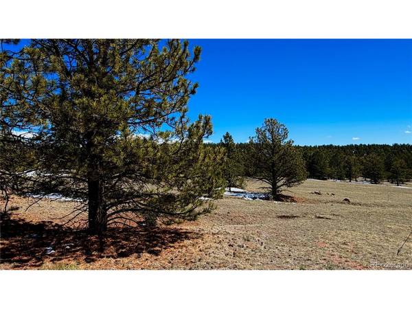 418 Scott, Florissant, CO 80816