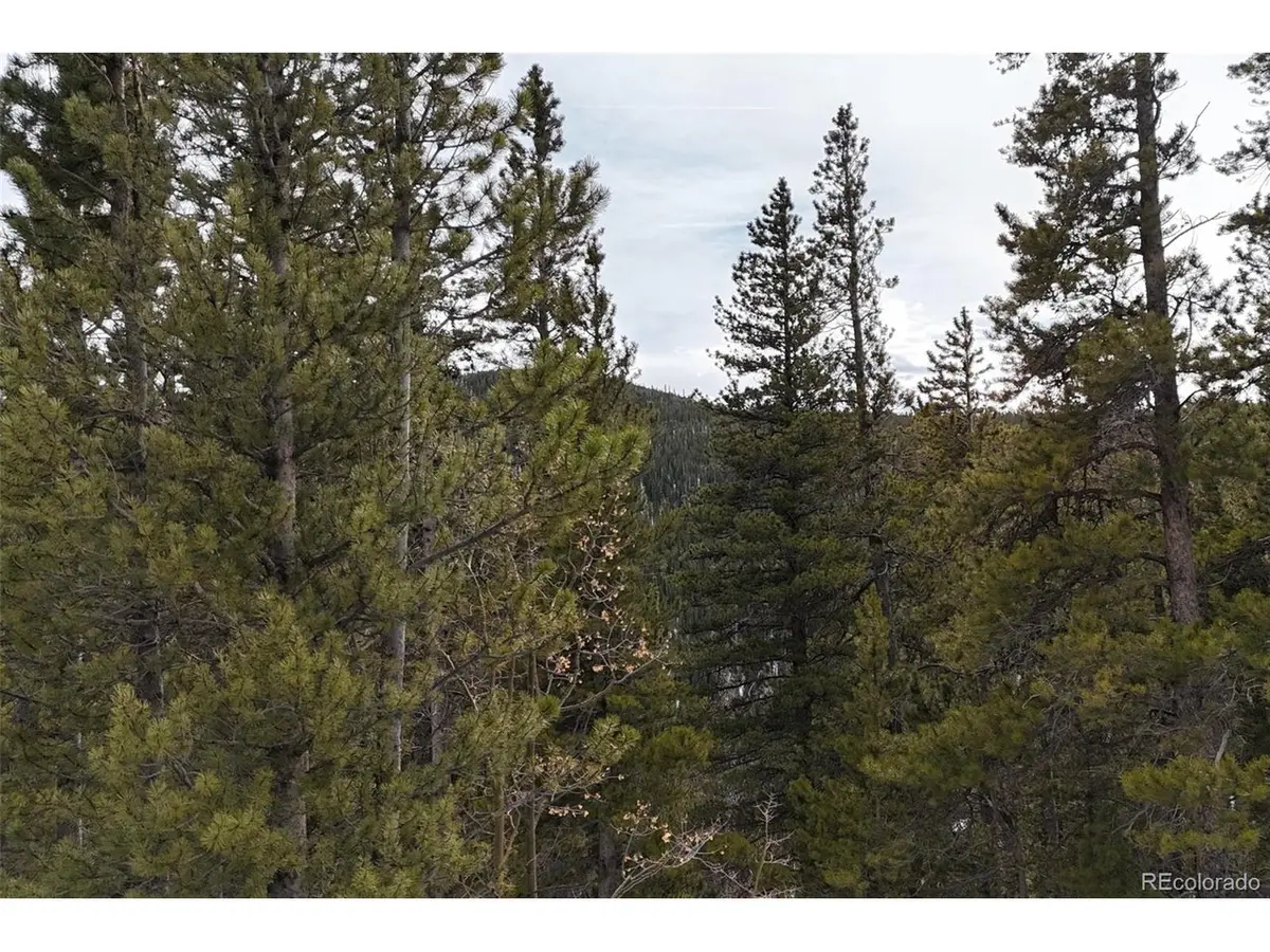 649 Vista, Idaho Springs, CO 80452