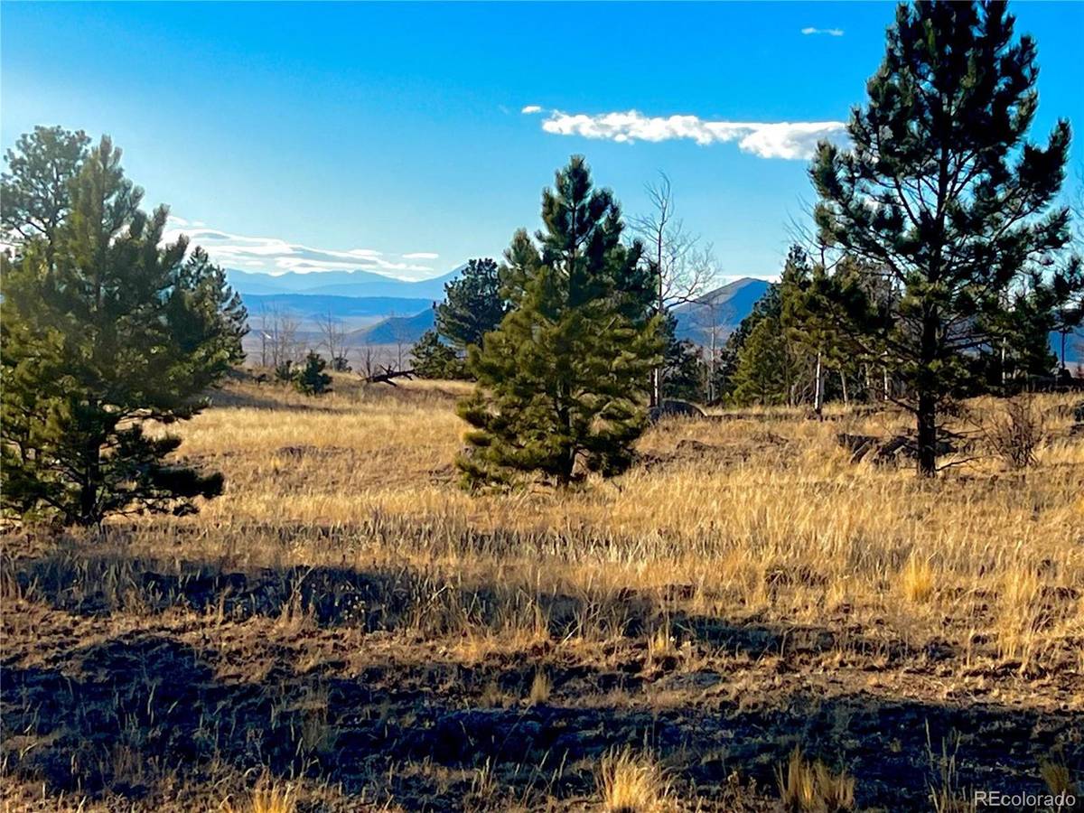 215 Topaz, Lake George, CO 80827