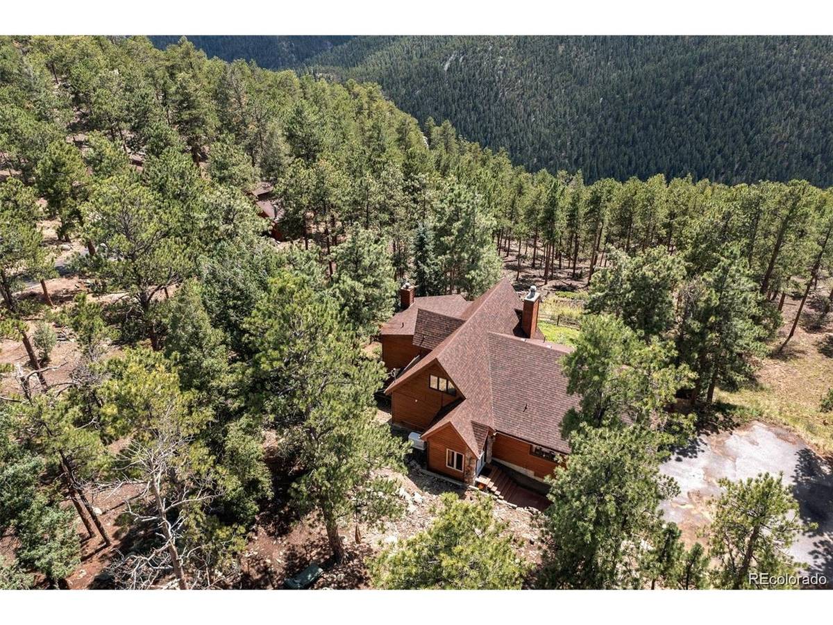 16 Auk, Bailey, CO 80421