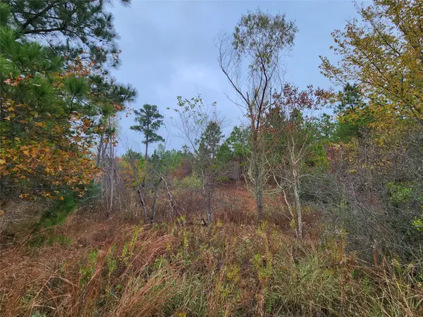 TBD Mahalo CT, Bastrop, TX 78602