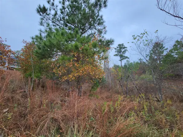 TBD Mahalo CT, Bastrop, TX 78602