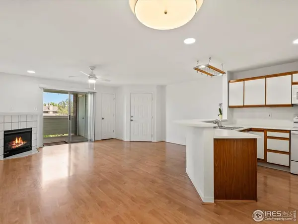 33 S Boulder #316, Boulder, CO 80303