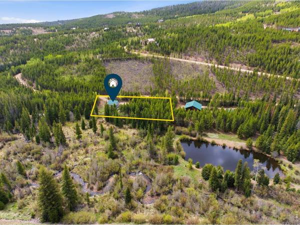 236 Mescalero, Red Feather Lakes, CO 80545