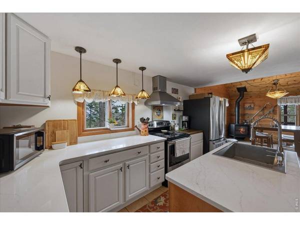 10 Manhead Mountain, Livermore, CO 80536