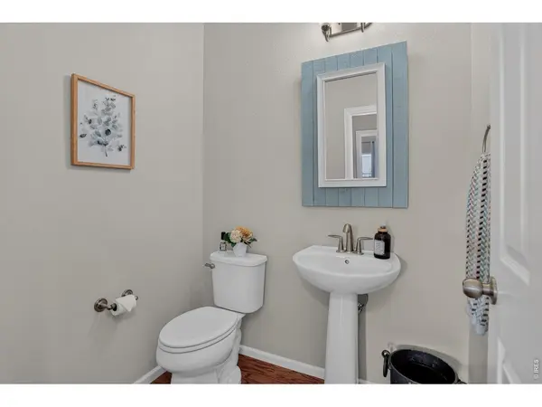 6553 Snow Bank, Timnath, CO 80547