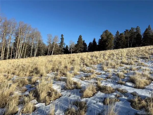 499 Collinson, Fort Garland, CO 81133