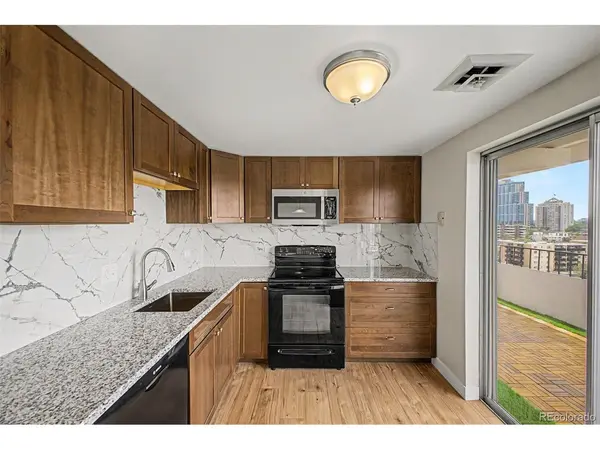 130 N Pearl #1103, Denver, CO 80203