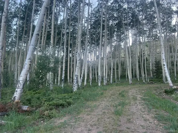 13 Bonanza, Villa Grove, CO 81155