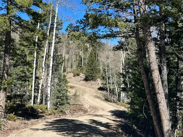 13 Bonanza, Villa Grove, CO 81155