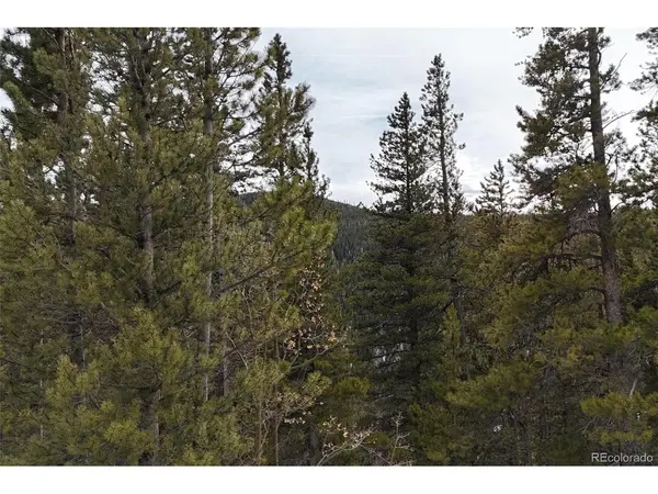 649 Vista, Idaho Springs, CO 80452