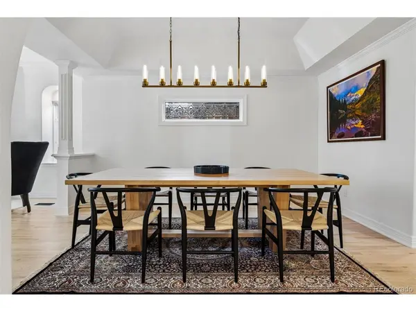 996 S Gilpin, Denver, CO 80209