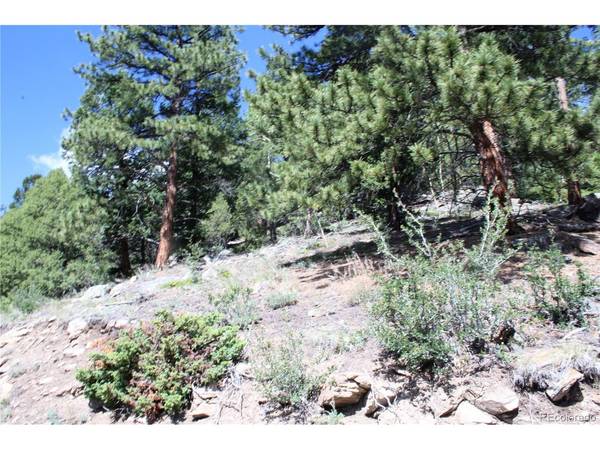 200 Two Brothers, Idaho Springs, CO 80452