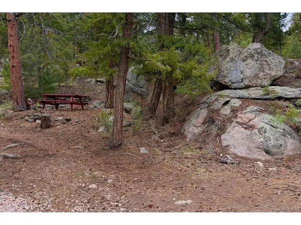 25845 Wilkerson, Conifer, CO 80433