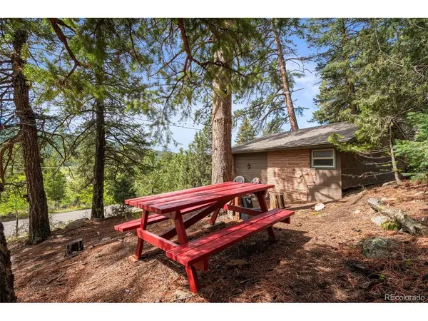 25845 Wilkerson, Conifer, CO 80433